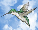 Hummingbird Blue - Paper