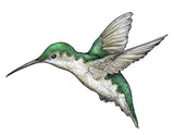 Hummingbird White - Canvas