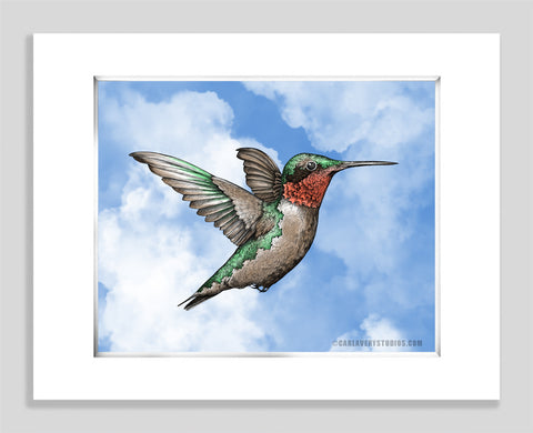 Ruby Throated Blue - Paper