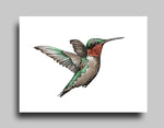 Ruby-Throated White - Canvas