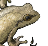 Frog's Feet - Canvas